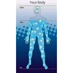 acqua nel corpo