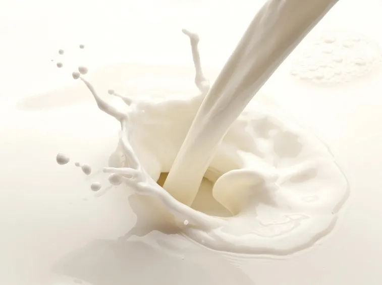 Fastidio addominale dopo aver bevuto un bicchiere di latte