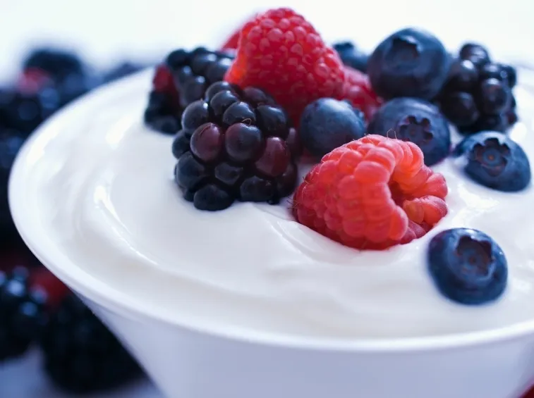 Lo yogurt non contiene lattosio