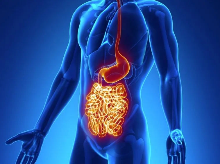 Organi interessati dal morbo