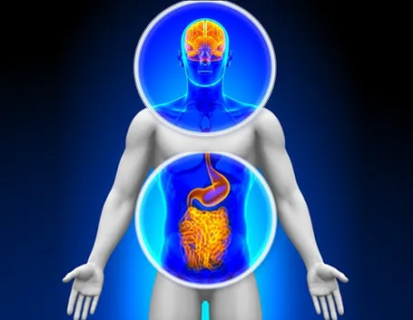 Cervello ed intestino sono collegati