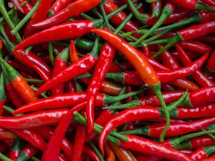 peperoncino