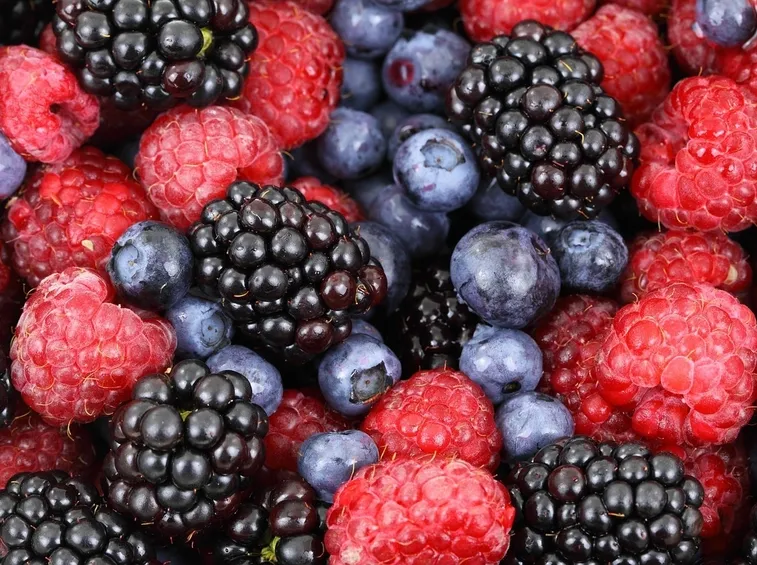 frutti di bosco