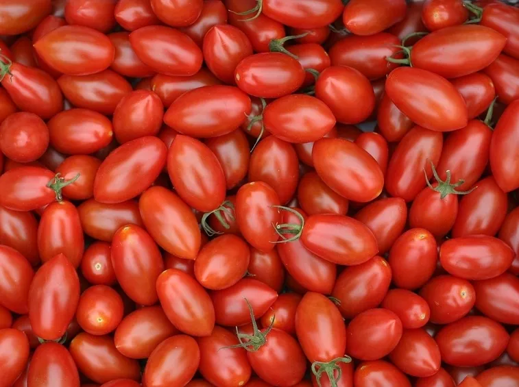 pomodori vitamine
