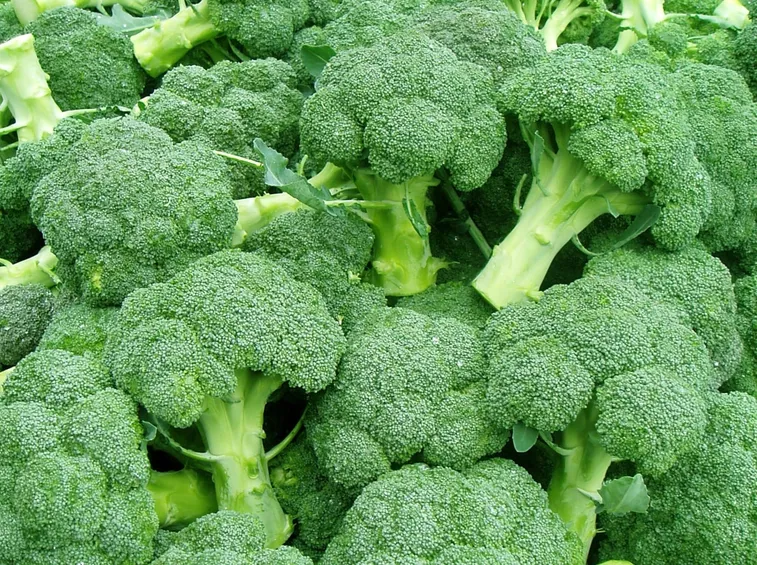 broccoli