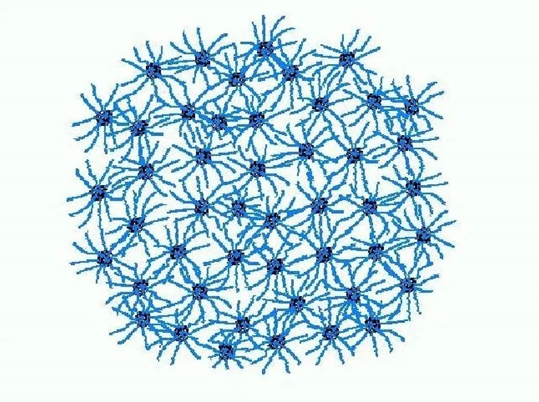 caseina struttura 