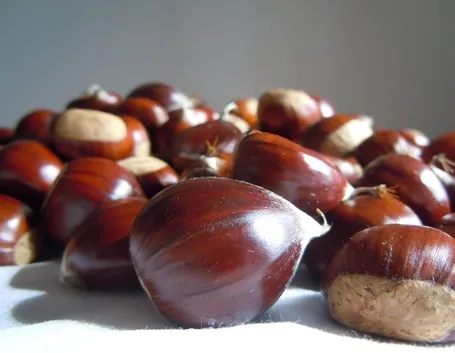 castagne 