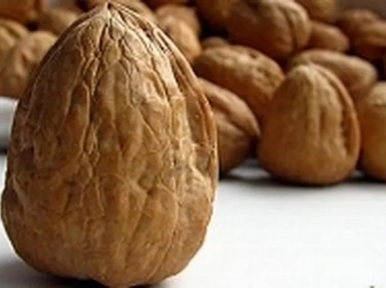 omega6