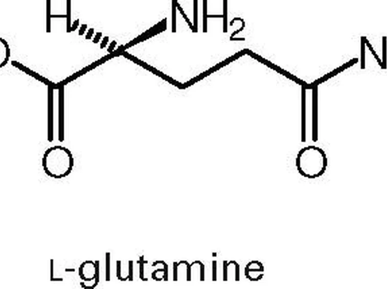 glutammina 