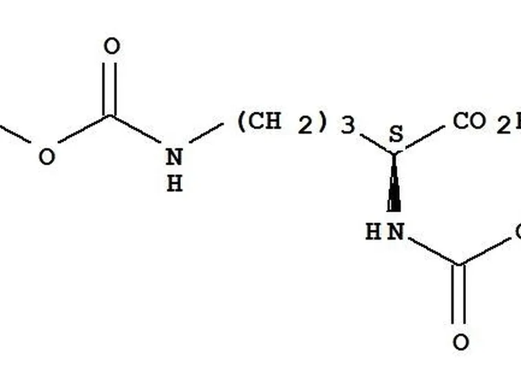 struttura 
