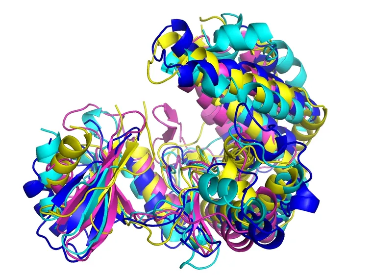 proteine
