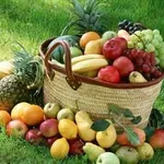 sostanze nutritive