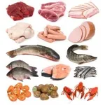 vitamina B12 alimenti 