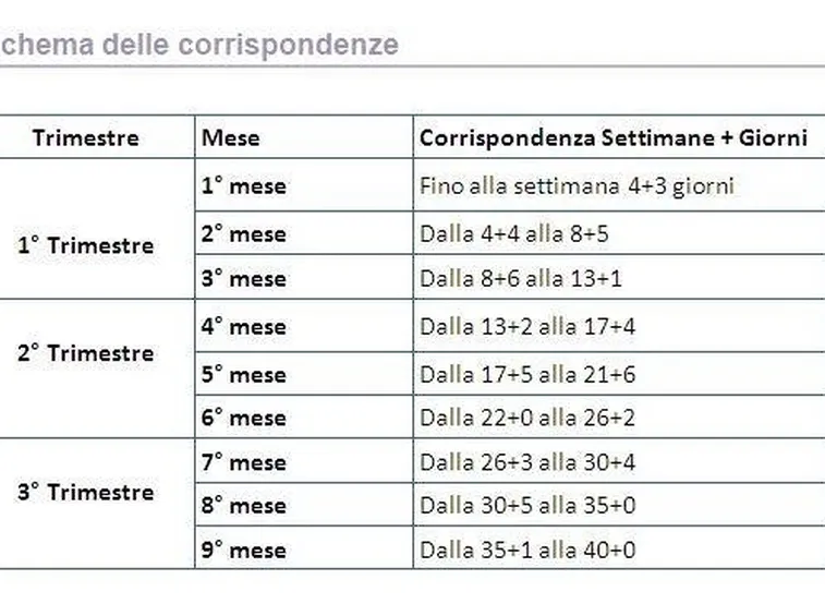 Calcolo settimane di gravidanza
