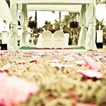 Fallimento del matrimonino
