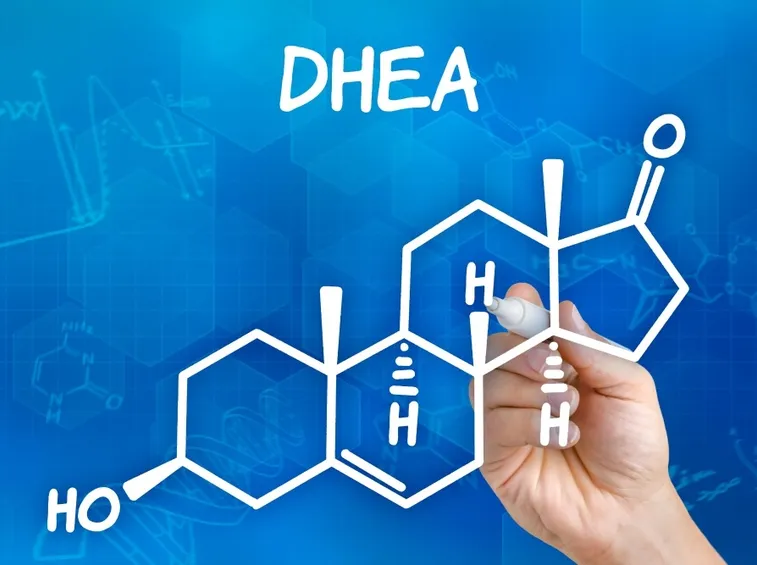 DHEA struttura molecolare