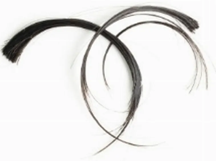analisi capelli