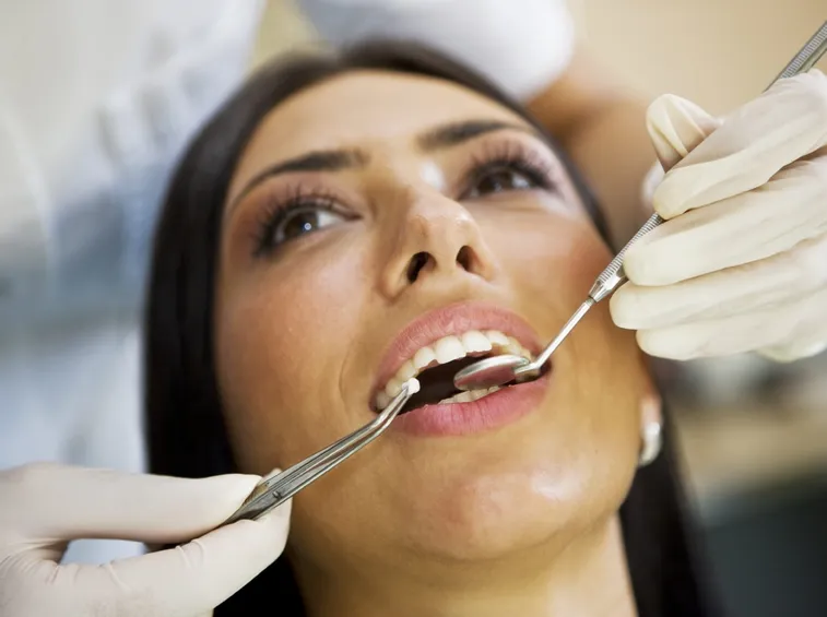 dente del giudizio