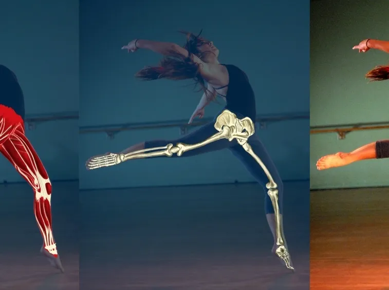 gambe femminili