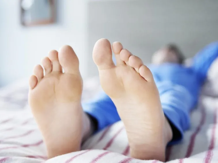 piedi