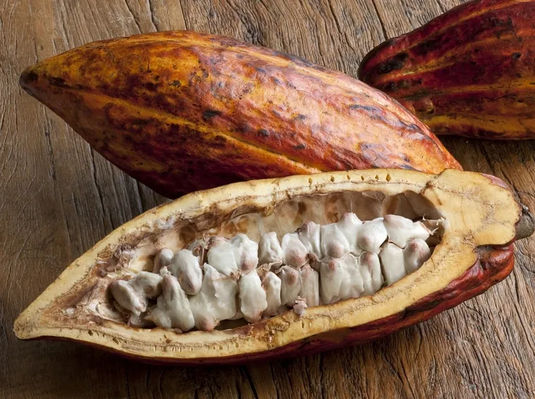 burro di cacao