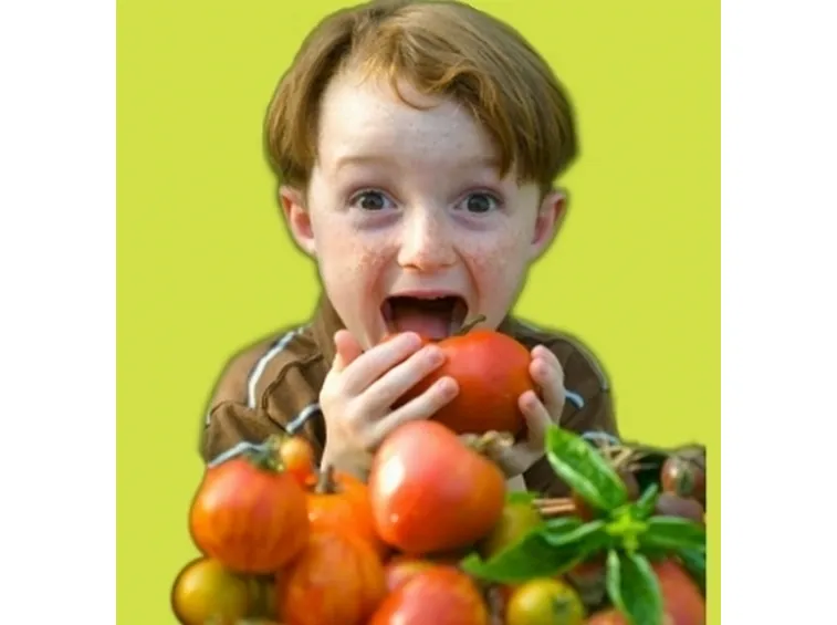 importanza nutrizione
