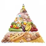 Equilibrio alimentare