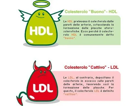 colesterolo cattivo