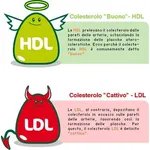 colesterolo cattivo