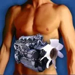 metabolismo 