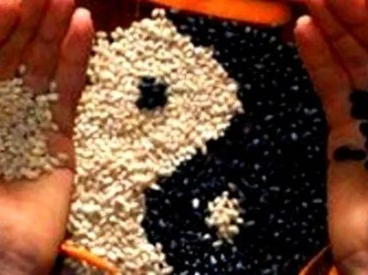 Dieta macrobiotica