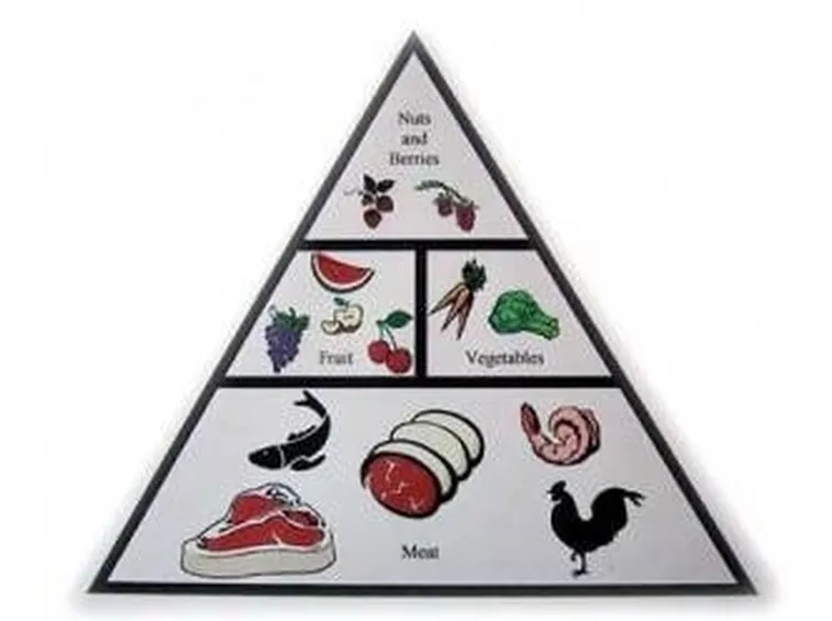 Dieta paleolitica