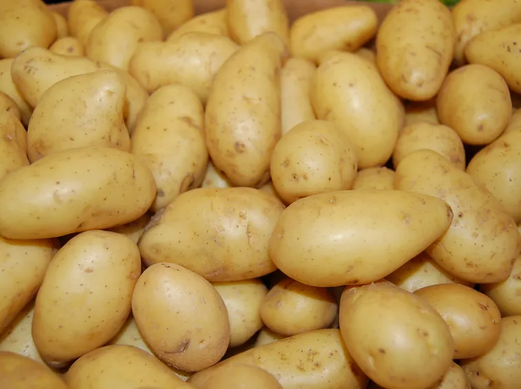 patate