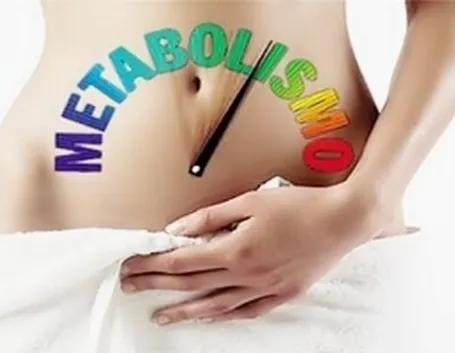 metabolismo