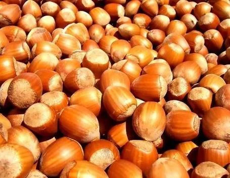 cibi e manganese 