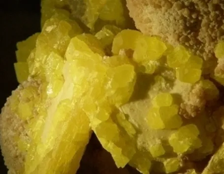 zolfo