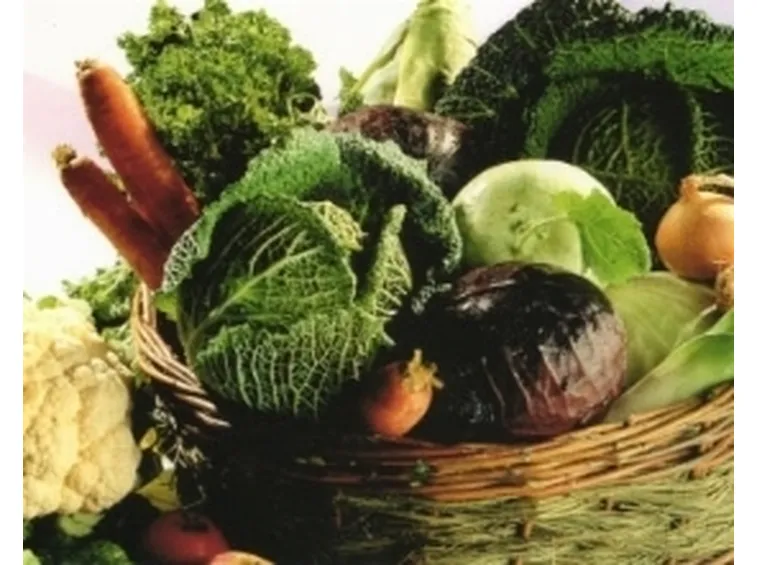 zolfo e alimentazione