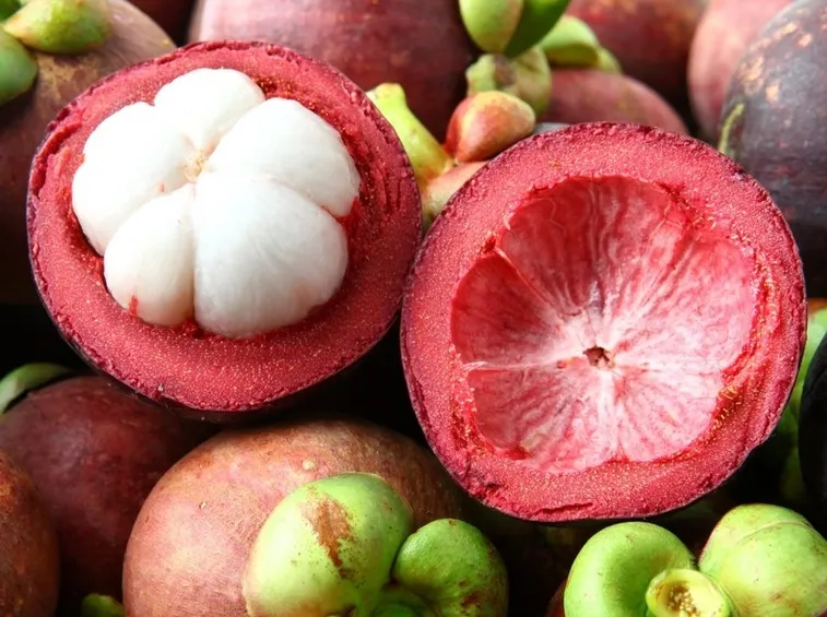 Garcinia Cambogia