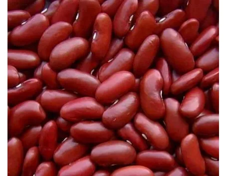fagioli borlotti 