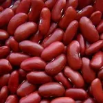 fagioli borlotti 