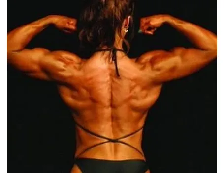 Body building
