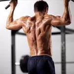 allenamento muscoli