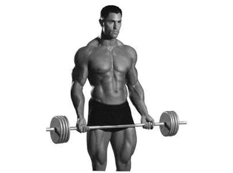 muscoli