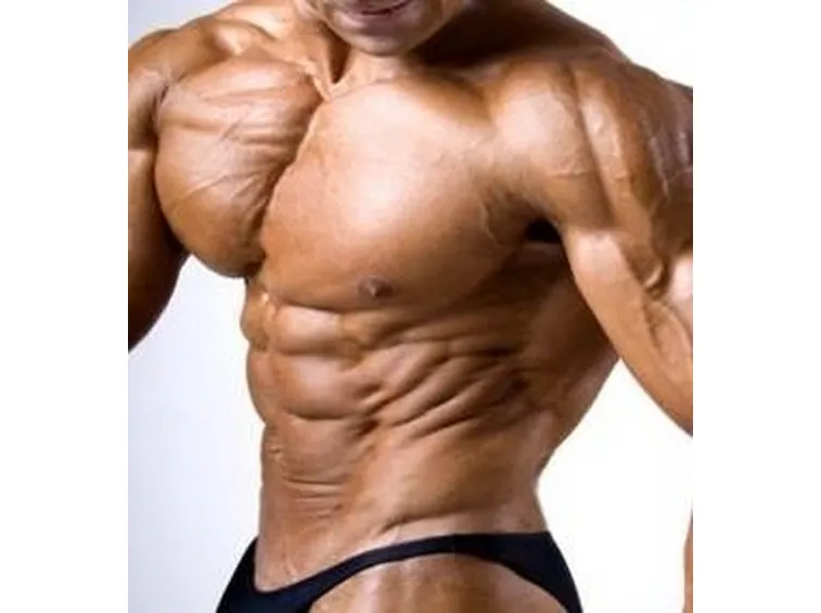 muscolatura 