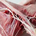 Perché con il freddo i muscoli si stirano e si contraggono più facilmente