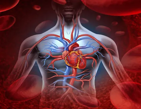 frequenza cardiaca 