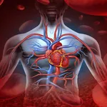 frequenza cardiaca 