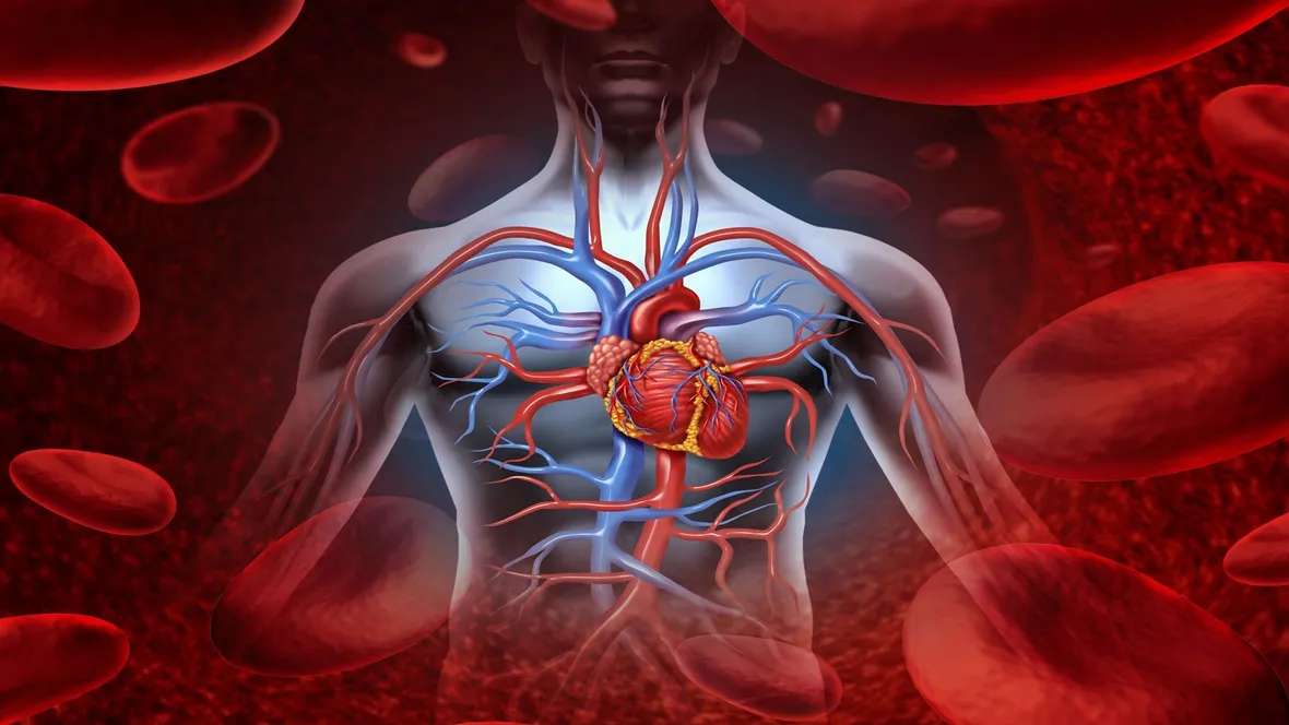 frequenza cardiaca 