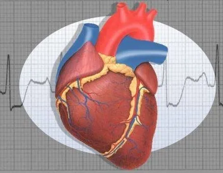 cuore