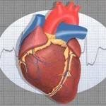 cuore